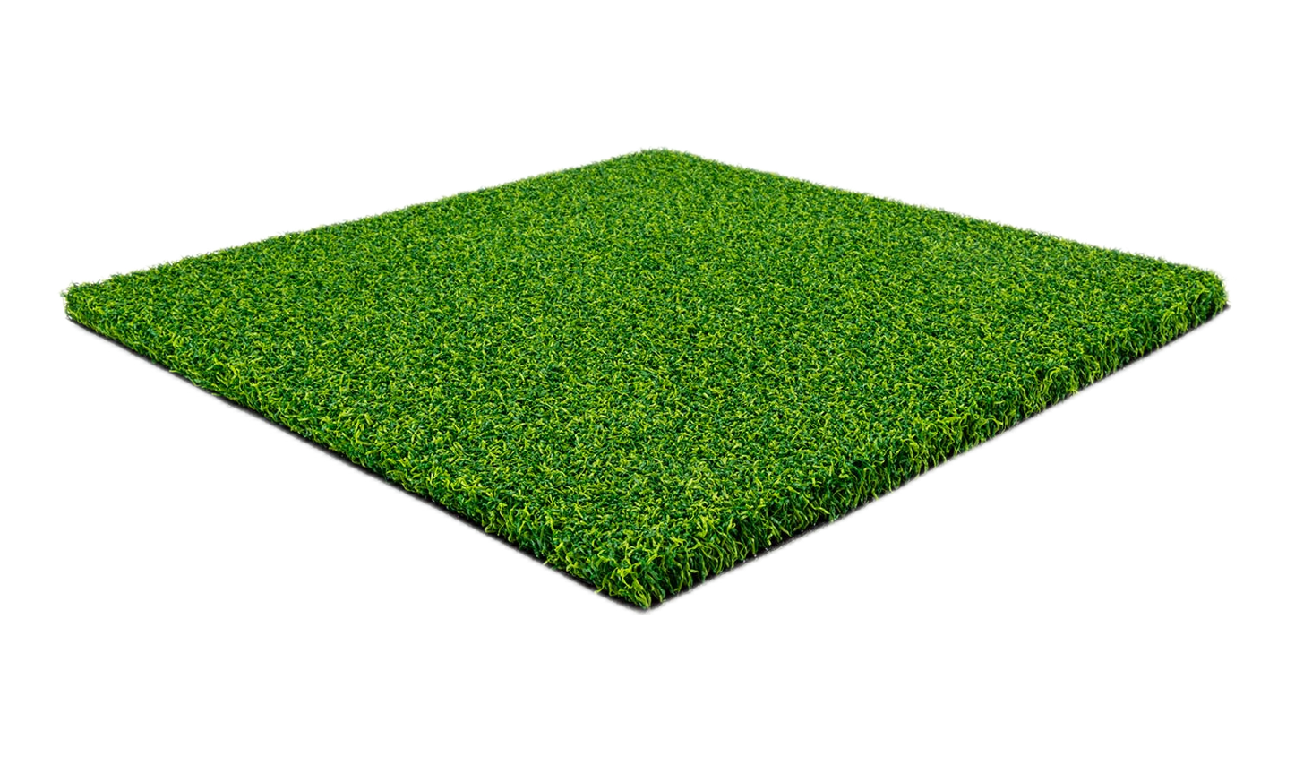 Putting green turf sample