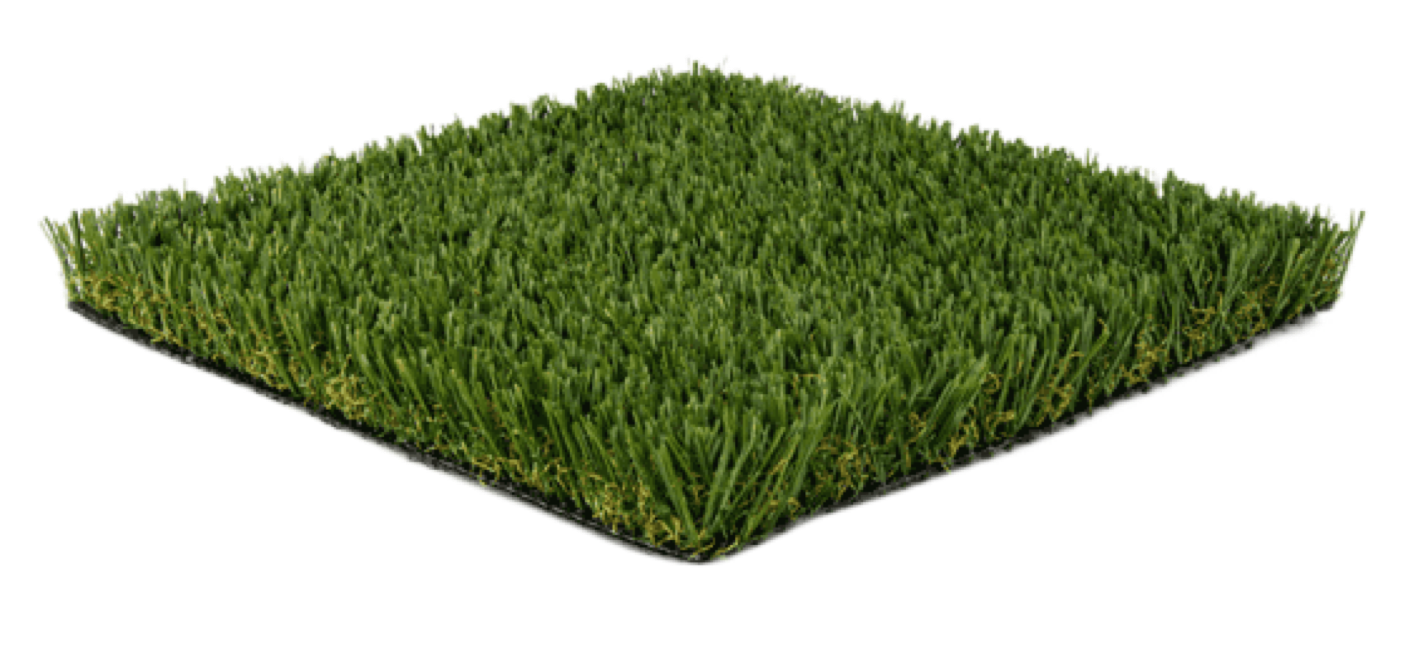 Pet turf sample